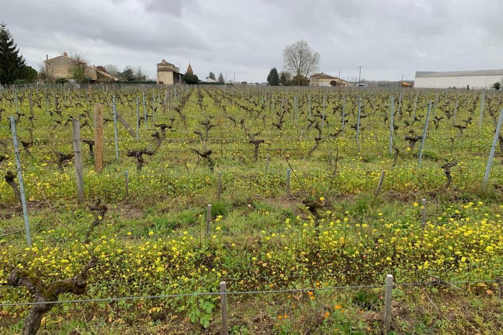Chateau Roseyrol Proche Saint-Emilion Ngoại thất bức ảnh