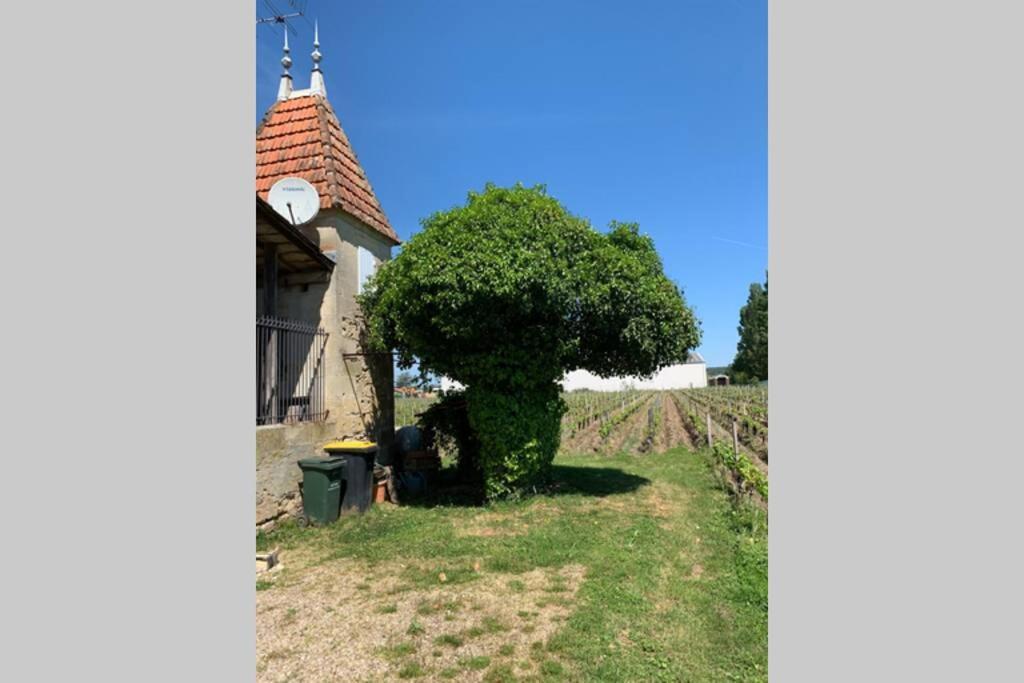 Chateau Roseyrol Proche Saint-Emilion Ngoại thất bức ảnh