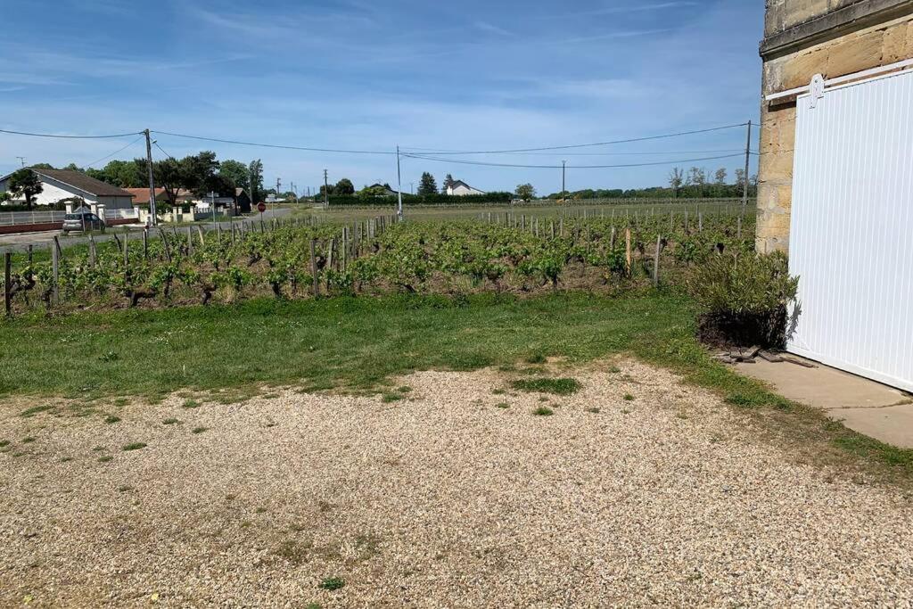 Chateau Roseyrol Proche Saint-Emilion Ngoại thất bức ảnh