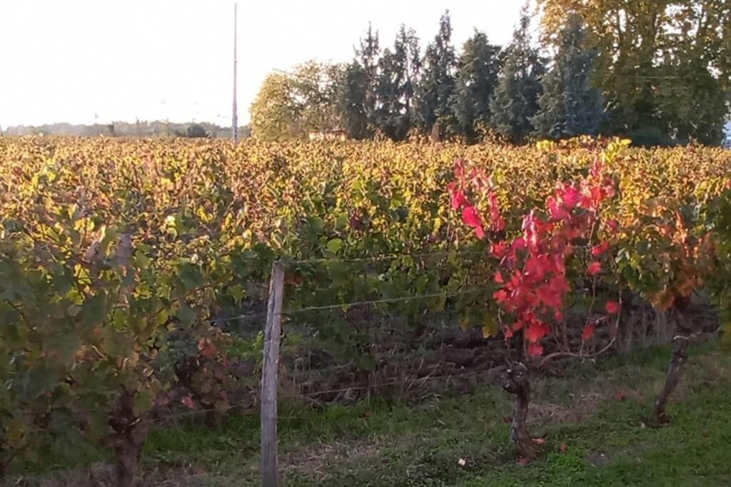 Chateau Roseyrol Proche Saint-Emilion Ngoại thất bức ảnh